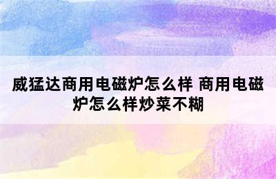 威猛达商用电磁炉怎么样 商用电磁炉怎么样炒菜不糊